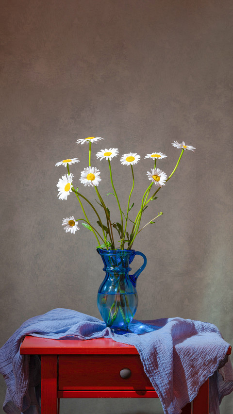 Bouquet of pale daisies in a blue vase on a red table screenshot