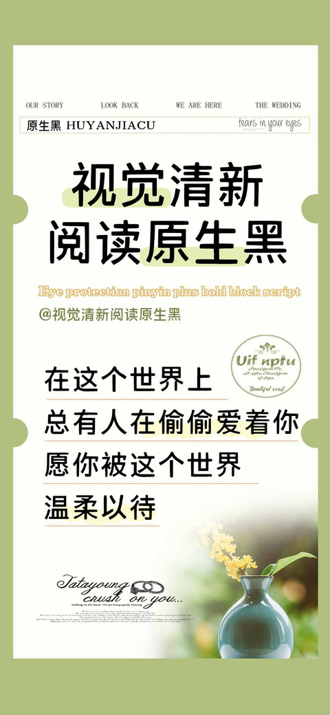 视觉清新阅读原生黑 screenshot