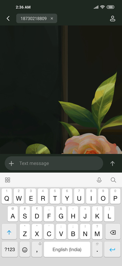 Twin rose screenshot