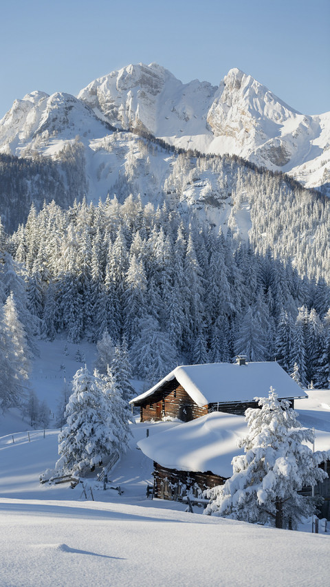 Winter Wonderland screenshot