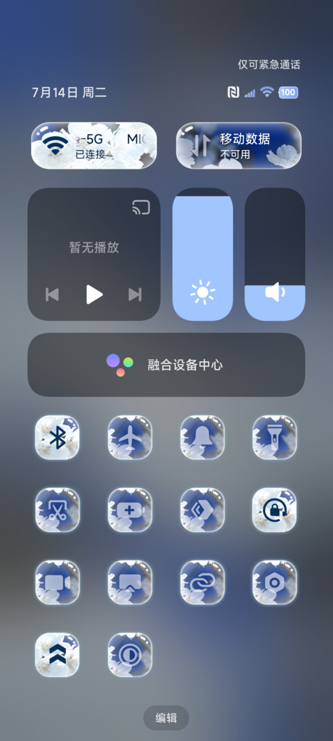重感 夜樱花 screenshot