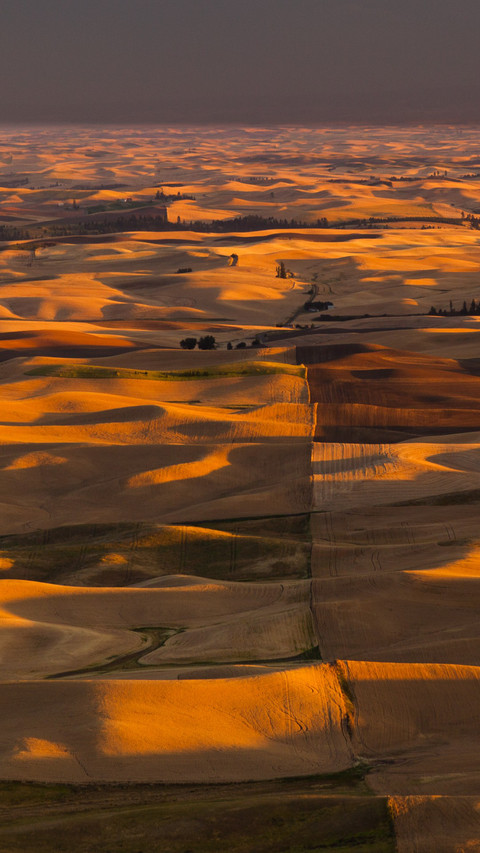Farmland scenery at sunset in Palus screenshot