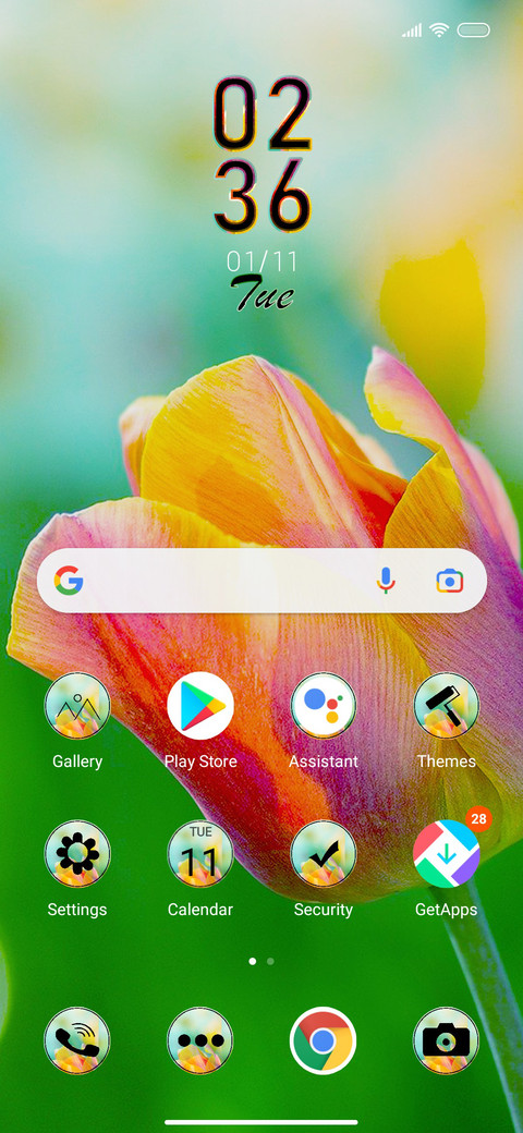 Tulip Beauty screenshot