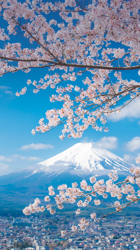 读懂富士山 screenshot