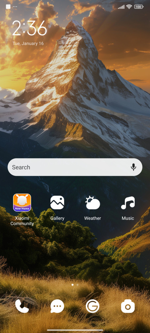 Gold Mountain screenshot