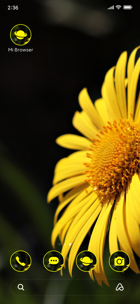 daisy yellow screenshot