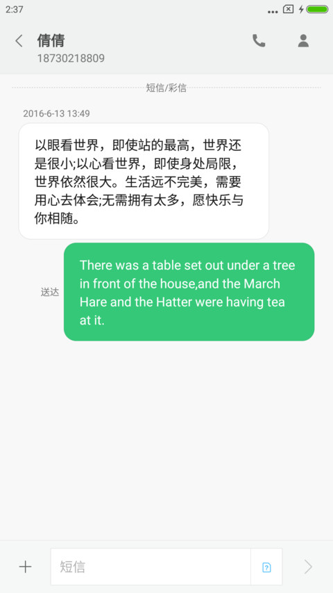 Roboto screenshot