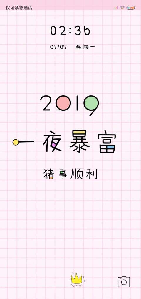 2019猪事顺利 screenshot