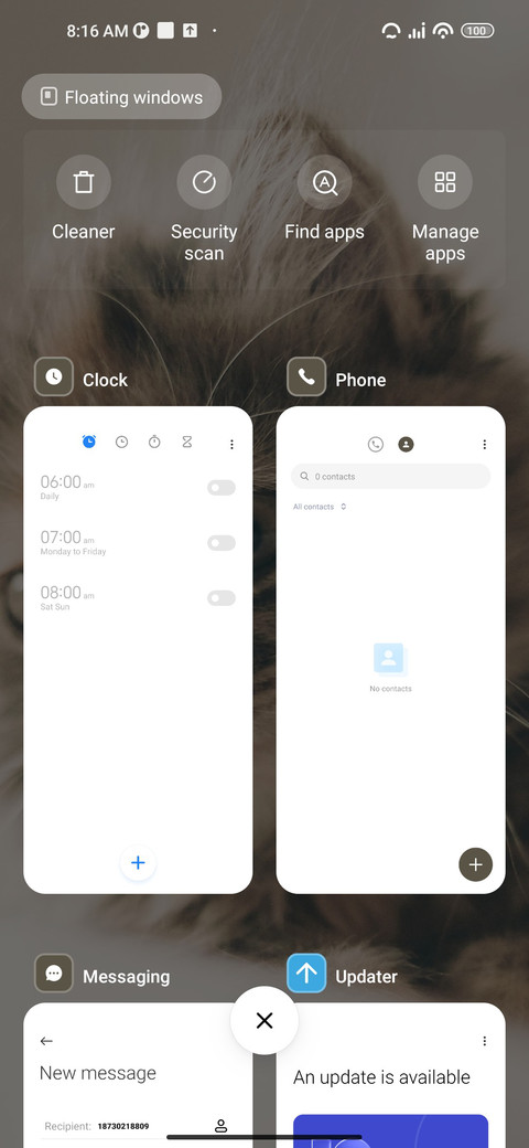 cat screenshot