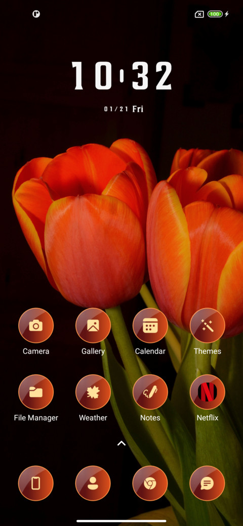Tulips screenshot