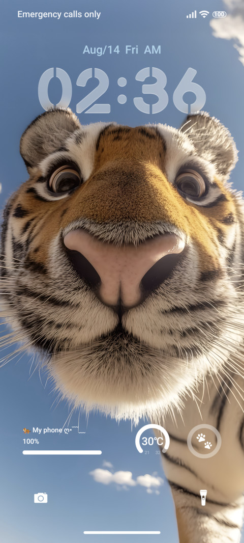Tiger 3D screenshot