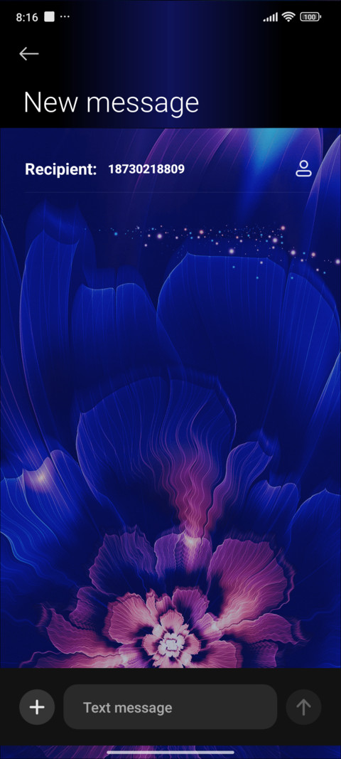 Splendid Flowers screenshot