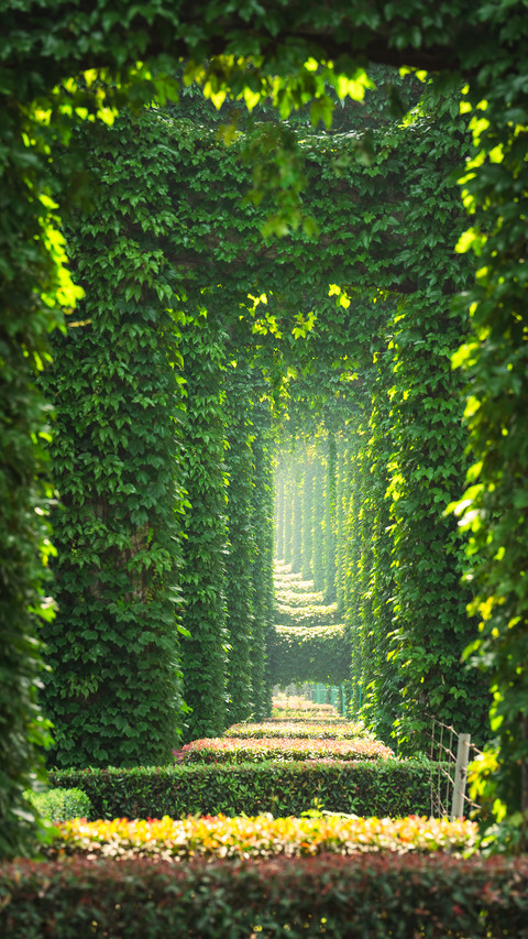 The Wonderful Wizard of Oz screenshot