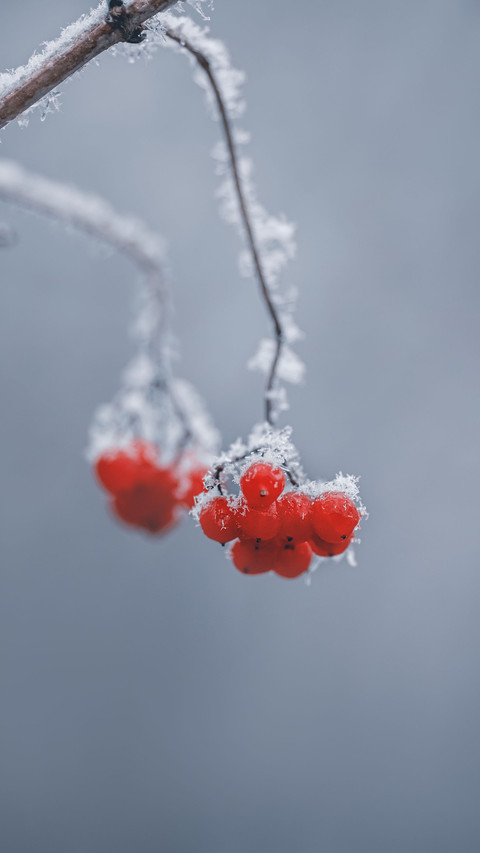 Will it be colder this winter 27 screenshot