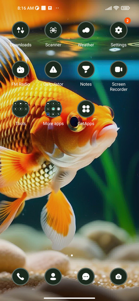 Golden Fish screenshot