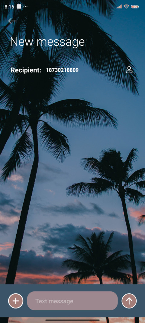 Coconut romance screenshot