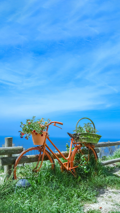 A recycled bicycle decorated with fresh flowers screenshot