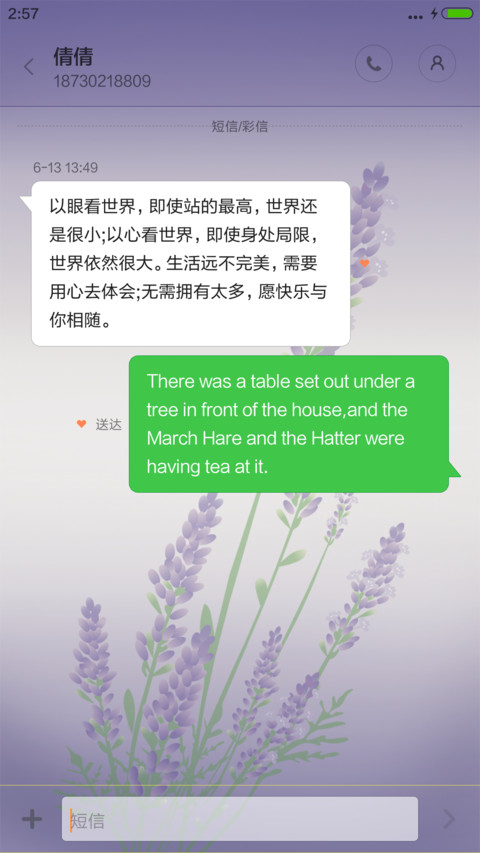 薰衣草【3D动态水泡+音乐锁屏】 screenshot