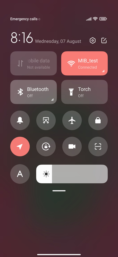 Frog Fat Fur screenshot