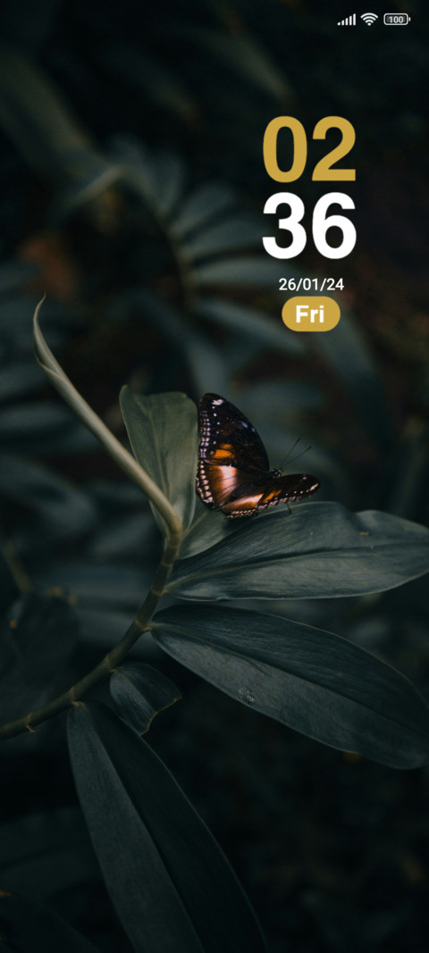 Butterfly screenshot