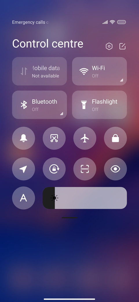 BridgeView screenshot