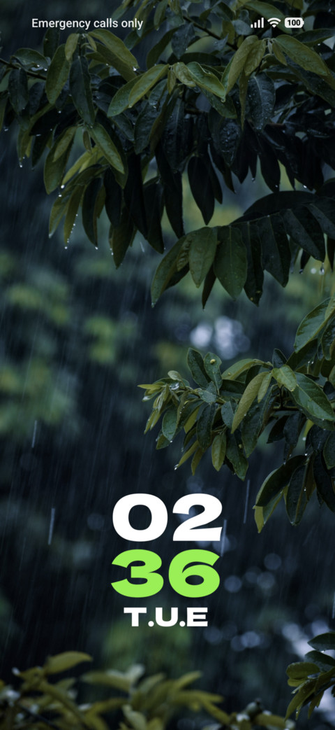 Leaf Crown screenshot