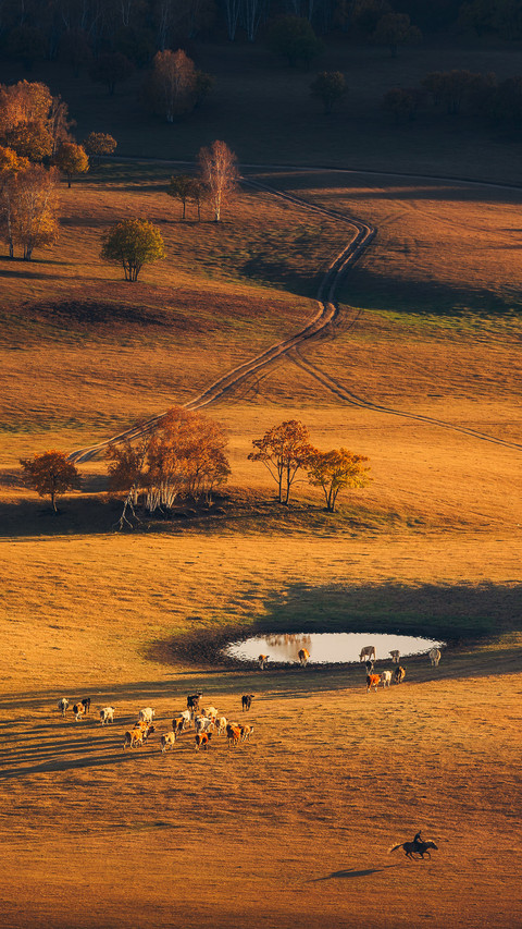 Attractions suitable for late autumn travel 43 screenshot