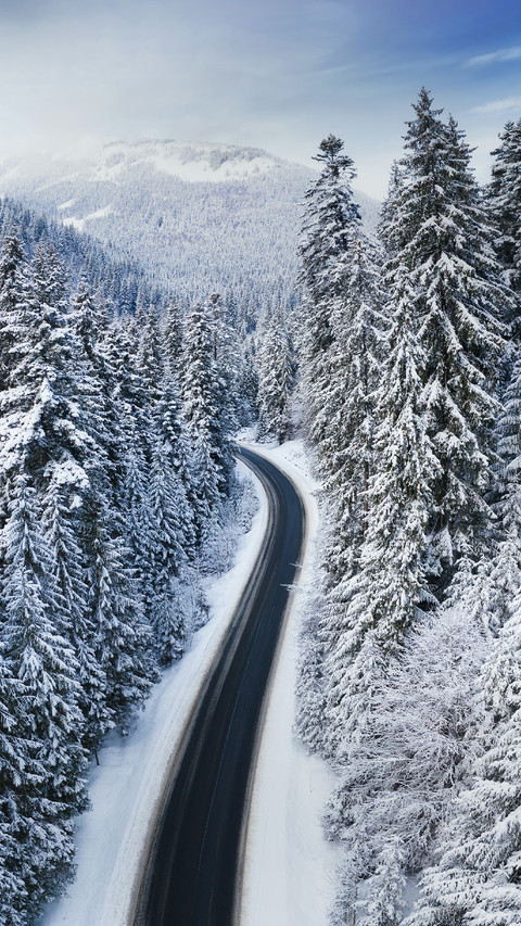 The Road Passes Through The Snow-covered Forest screenshot