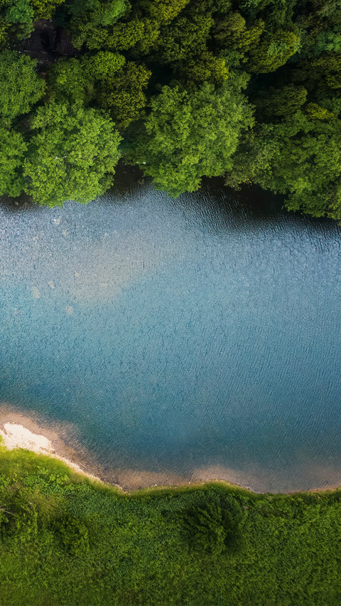 Overlooking the river and the woods screenshot