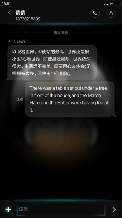 BatMan  Holy IN  screenshot