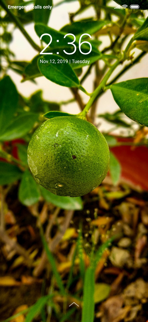 Lemon_DWM3 screenshot