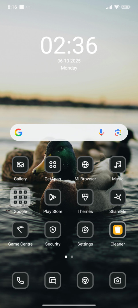 Duck screenshot