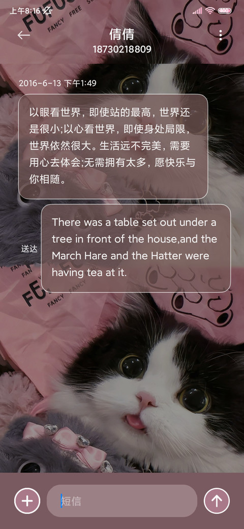 双模式换图小猫日记 screenshot