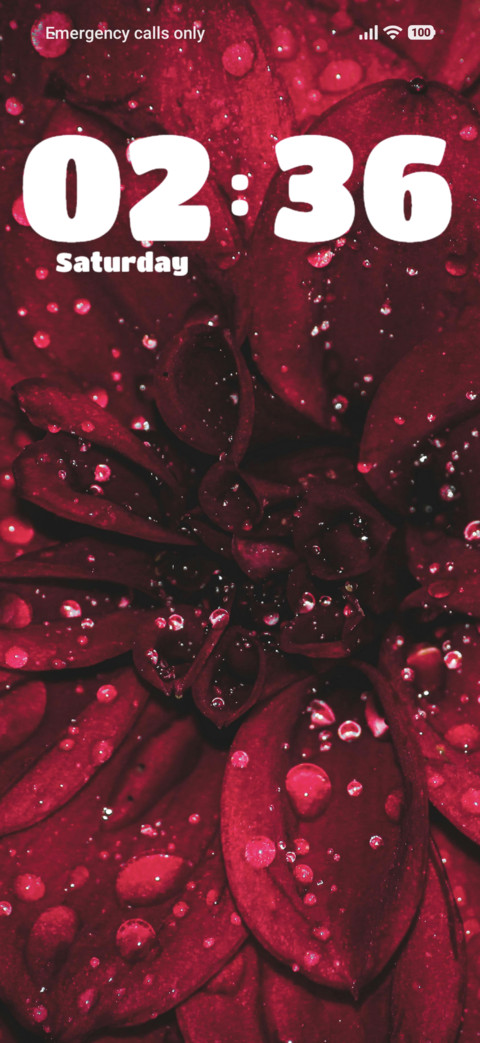 Dahlia Flower screenshot