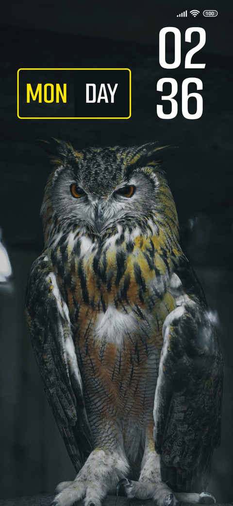 Owl Dark screenshot