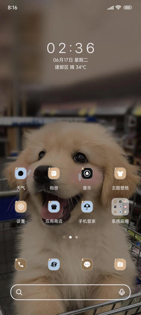 害羞小金毛ins screenshot