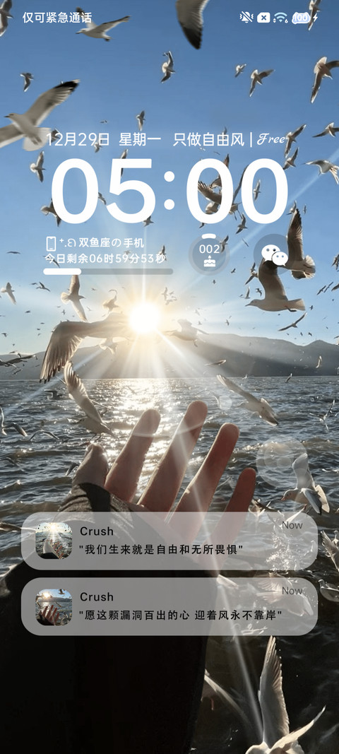 氛围 只做自由风 screenshot