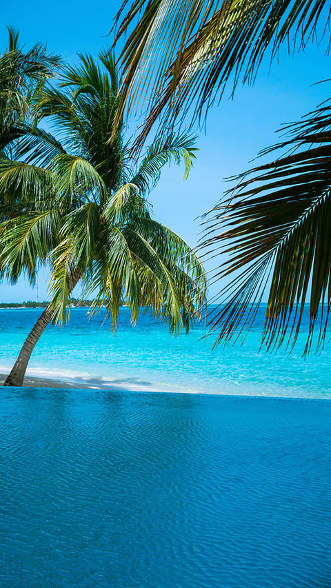 Go to Maldives screenshot