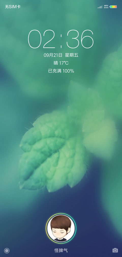 一片绿叶 screenshot