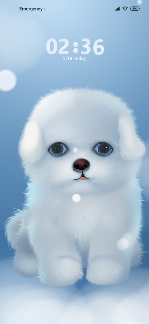 Little Bichon Bear screenshot