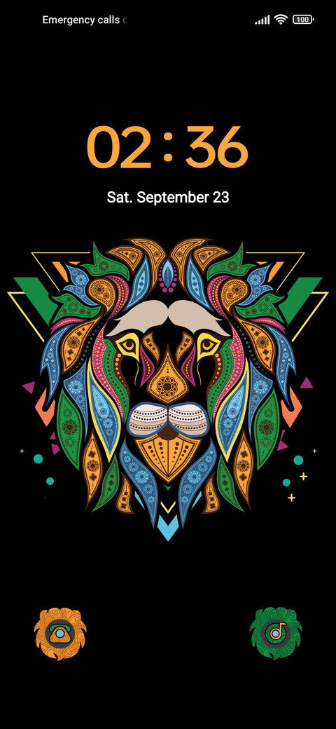 Colorful Lion screenshot