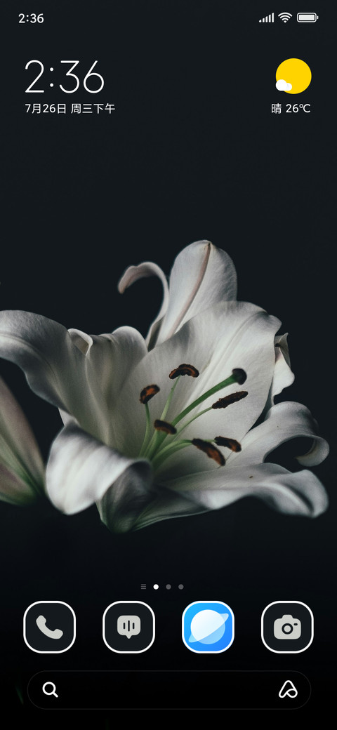 Lily Blossom screenshot