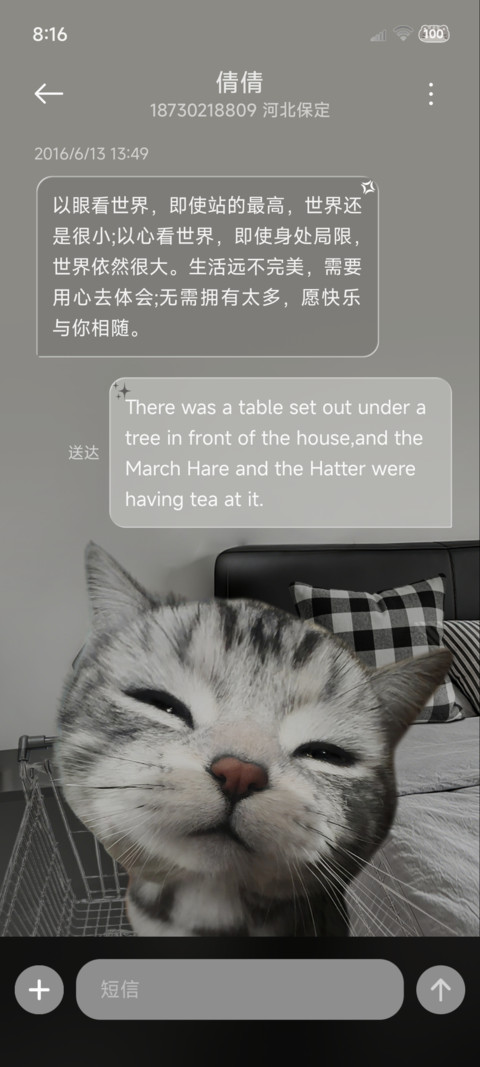 重感鱼眼小猫爱你呦 screenshot