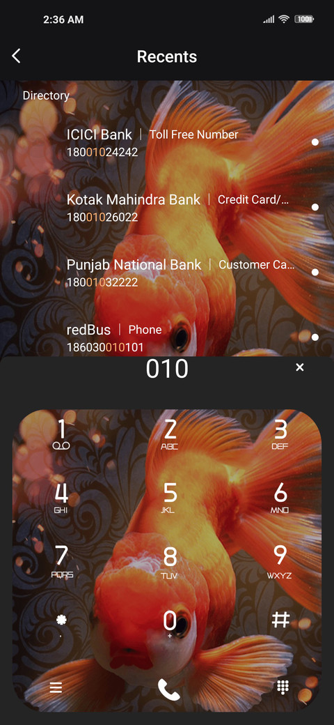 Koi carp screenshot