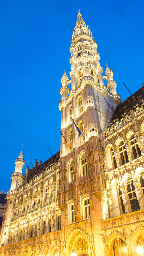 Brussels Glimpse 2 screenshot