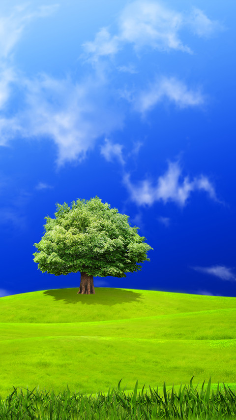 Green Grass And Blue Sky screenshot