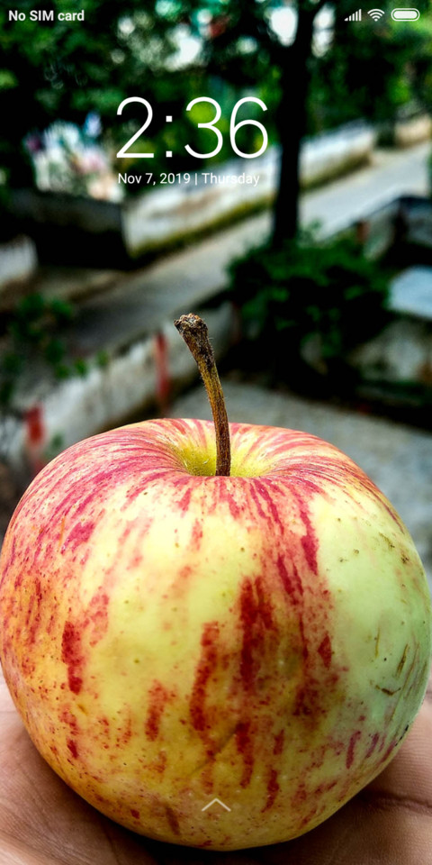 Apple_DWM3 screenshot