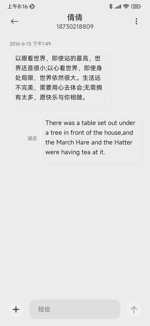新拟态 简白 screenshot