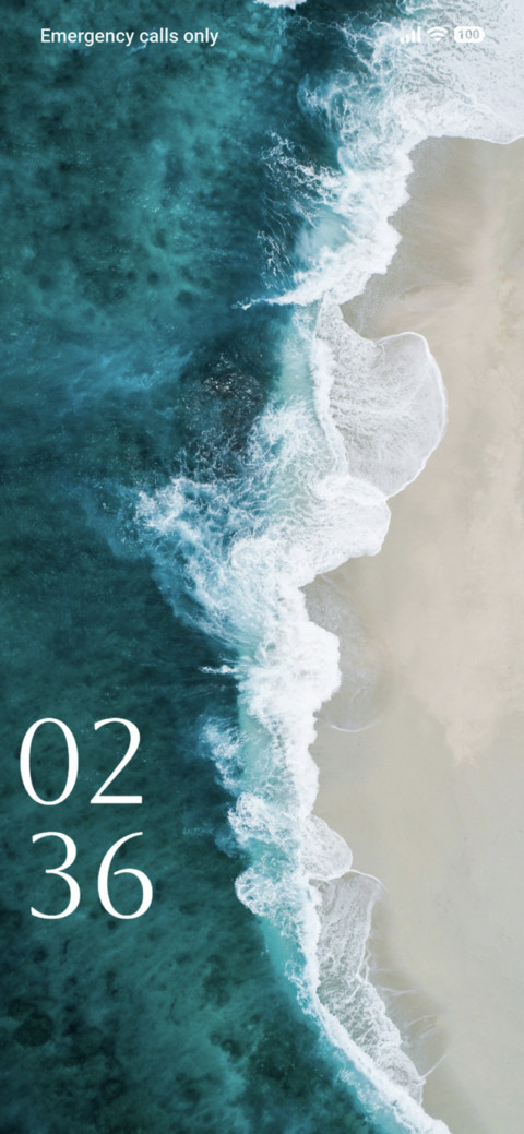 Whale screenshot