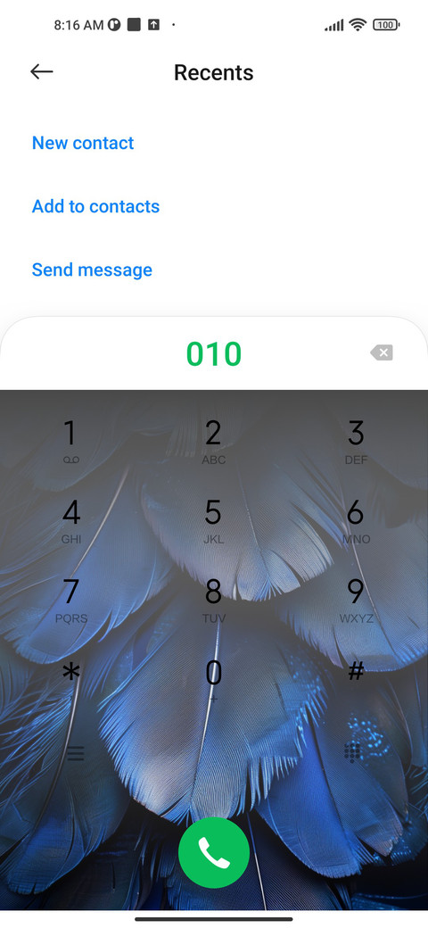 Blue feather screenshot